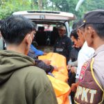 WhatsApp Image 2024-11-17 at 12.12.51